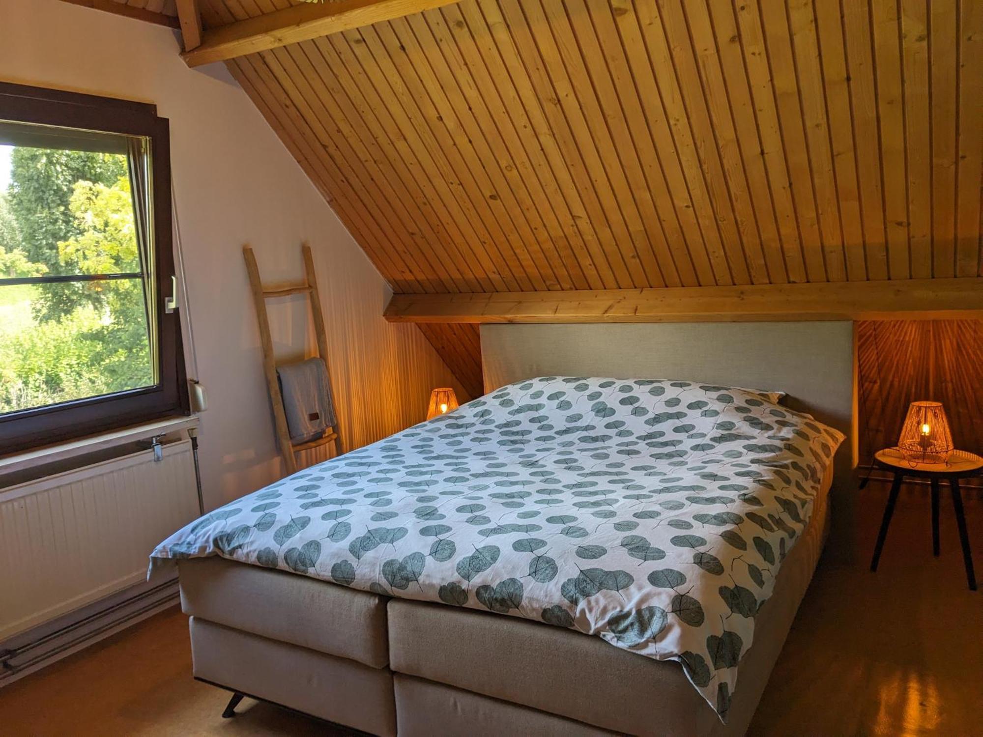 Ruime Vrijstaande Vakantiewoning Aan Veerse Meer, 6 Persoons Wolphaartsdijk Exterior photo
